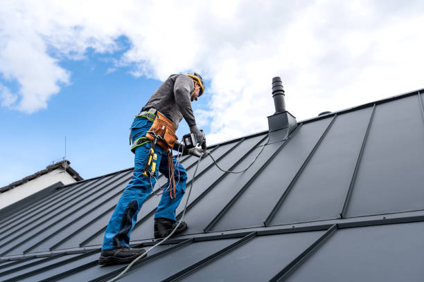 Best Roof Inspection  in USA